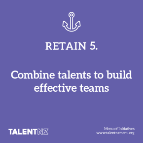 TalentNZ: Menu of Initiatives – Retain 5. Combine talents to build effective teams
