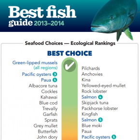 Forest and Bird includes aquaculture in latest Best Fish Guide