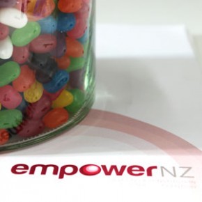 EmpowerNZ group complete their submission!